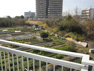 タウニィ山村の物件外観写真